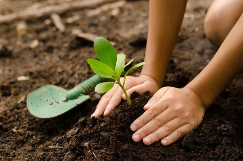 Winter Soil Health Check: 11 Methods for Spring Success