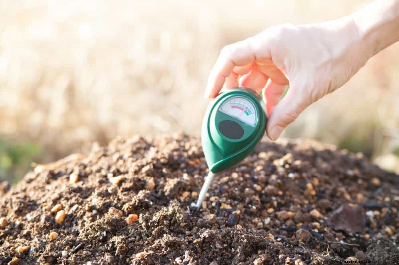 Winter Soil Health Check: 11 Methods for Spring Success