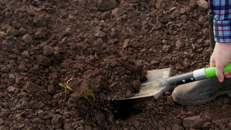 Winter Soil Health Check: 11 Methods for Spring Success
