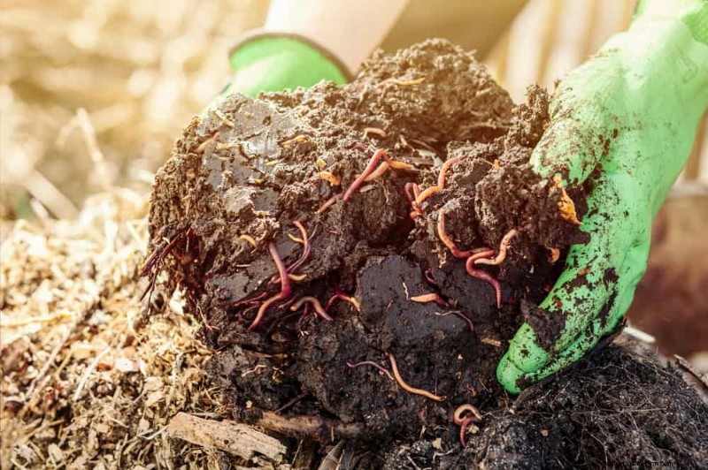 Winter Soil Health Check: 11 Methods for Spring Success