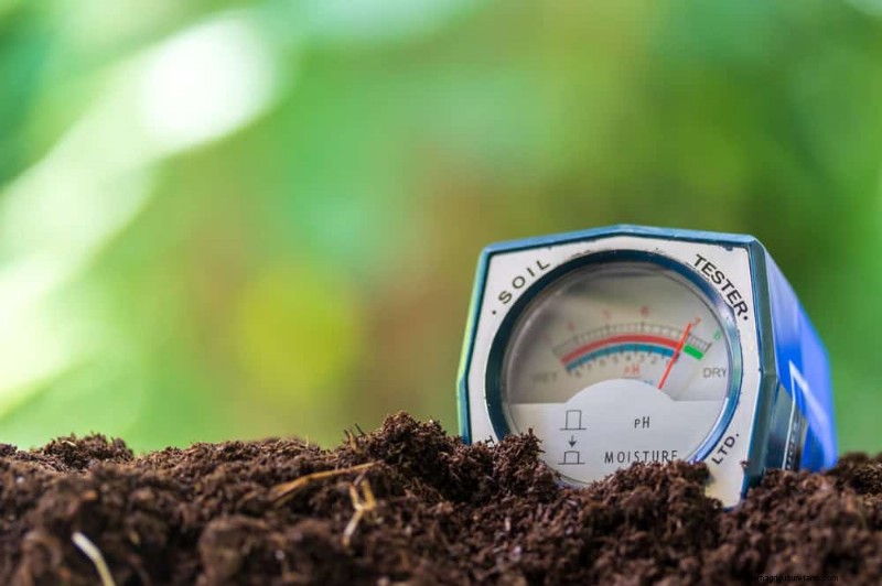 Winter Soil Health Check: 11 Methods for Spring Success