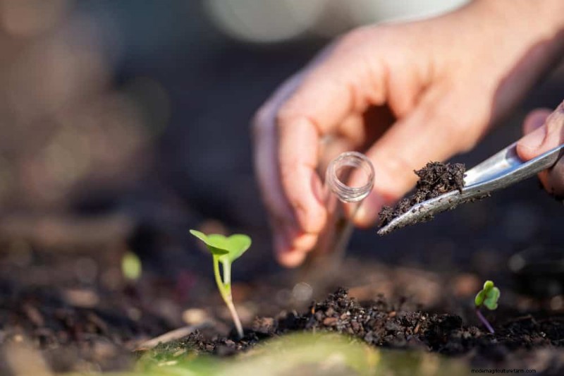 Winter Soil Health Check: 11 Methods for Spring Success