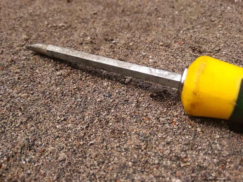 Winter Soil Health Check: 11 Methods for Spring Success
