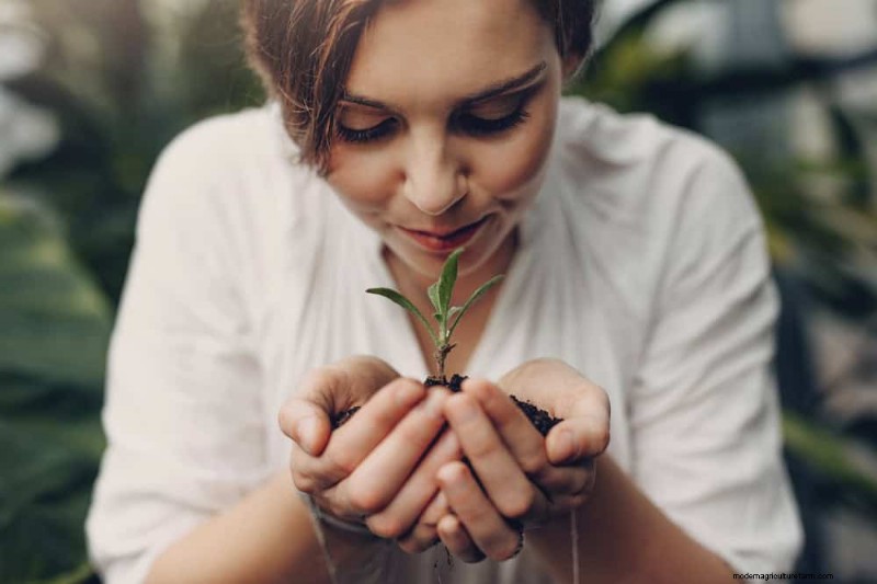 Winter Soil Health Check: 11 Methods for Spring Success