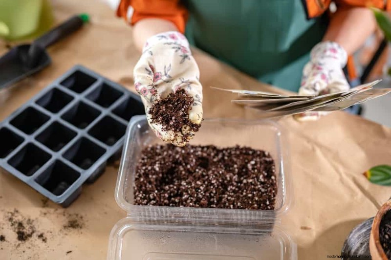 Winter Soil Health Check: 11 Methods for Spring Success