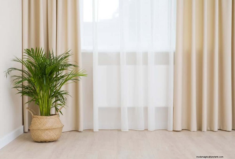 Protect Your Plants: 12 Ways to Shield from Cold Windows + Temperature Guide