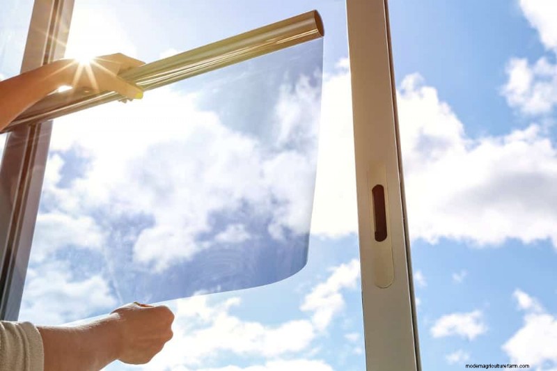 Protect Your Plants: 12 Ways to Shield from Cold Windows + Temperature Guide