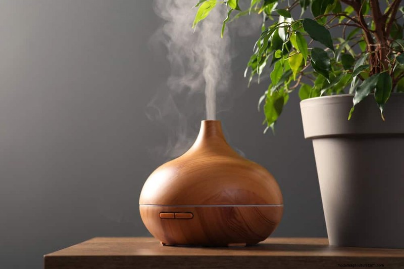 Protect Your Plants: 12 Ways to Shield from Cold Windows + Temperature Guide