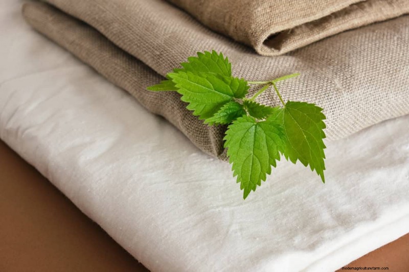 Protect Your Plants: 12 Ways to Shield from Cold Windows + Temperature Guide