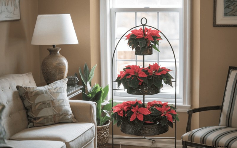 Poinsettia Display Secrets: Designer Tips for Festive Decor