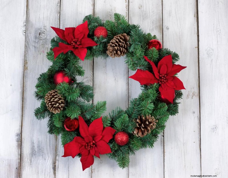 Poinsettia Display Secrets: Designer Tips for Festive Decor