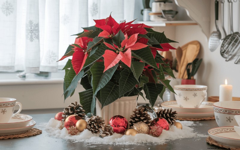 Poinsettia Display Secrets: Designer Tips for Festive Decor