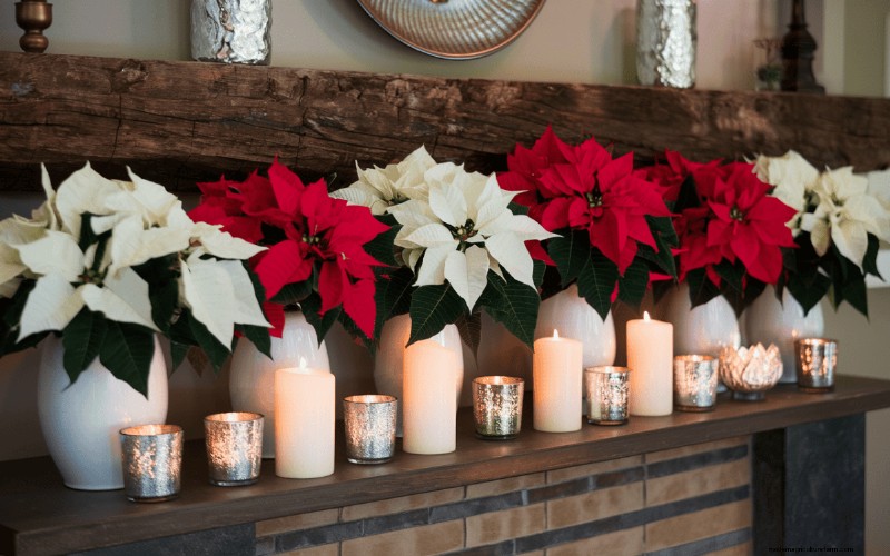 Poinsettia Display Secrets: Designer Tips for Festive Decor