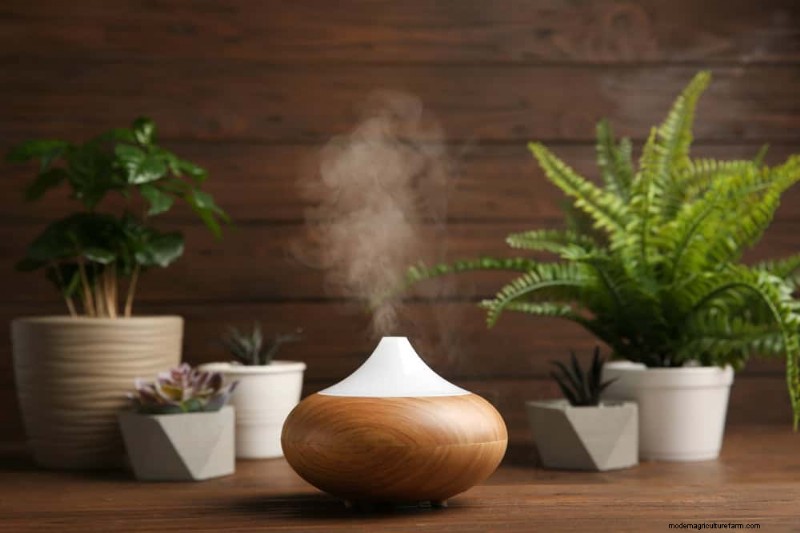 Protect Your Plants: 12 Expert Tips for Winter Care