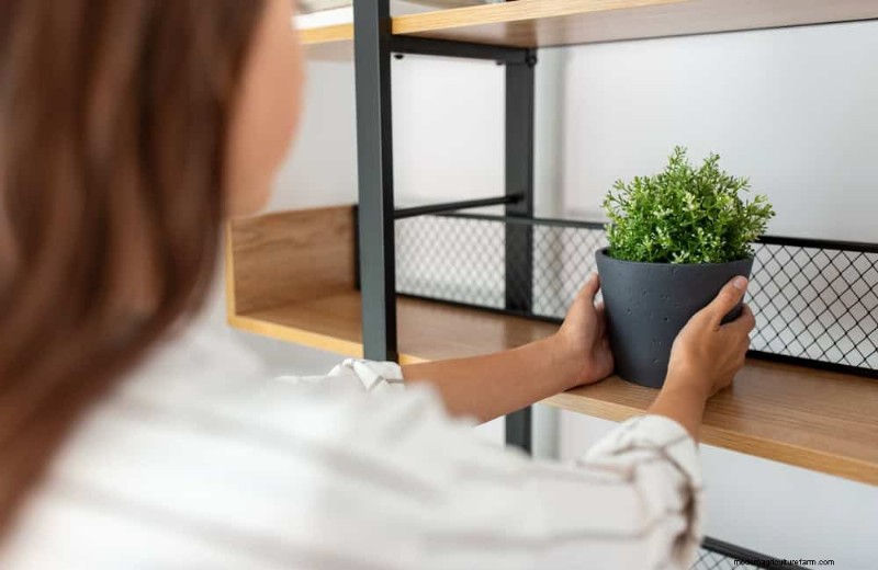 Protect Your Plants: 12 Expert Tips for Winter Care