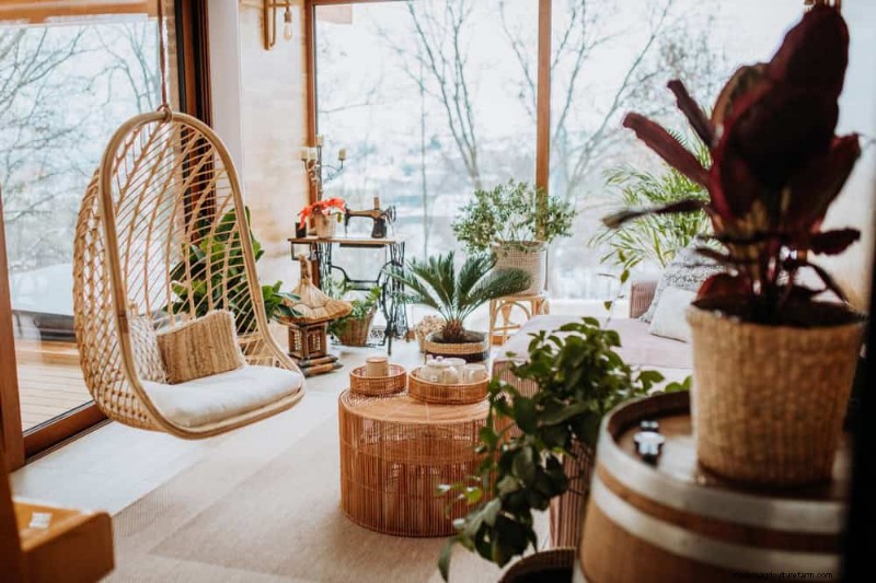 Winter Care for Floor Plants: 11 Proven Tips for Thriving Foliage