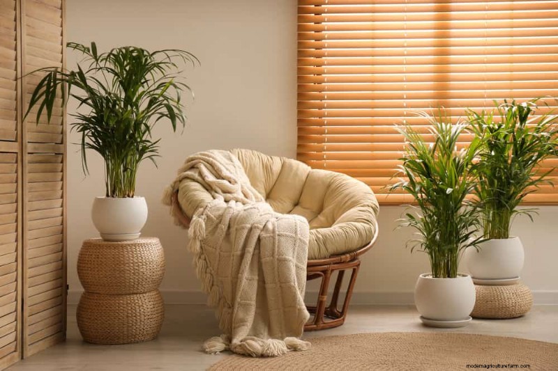 Winter Care for Floor Plants: 11 Proven Tips for Thriving Foliage