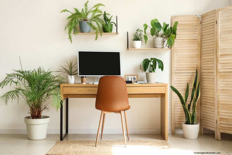 Winter Care for Floor Plants: 11 Proven Tips for Thriving Foliage