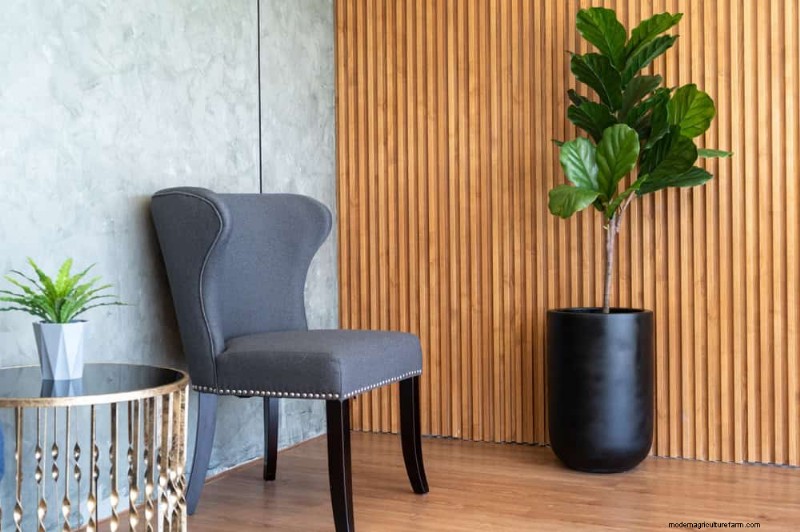 Fiddle Leaf Fig Pruning: 10 Expert Tips for Healthy Growth