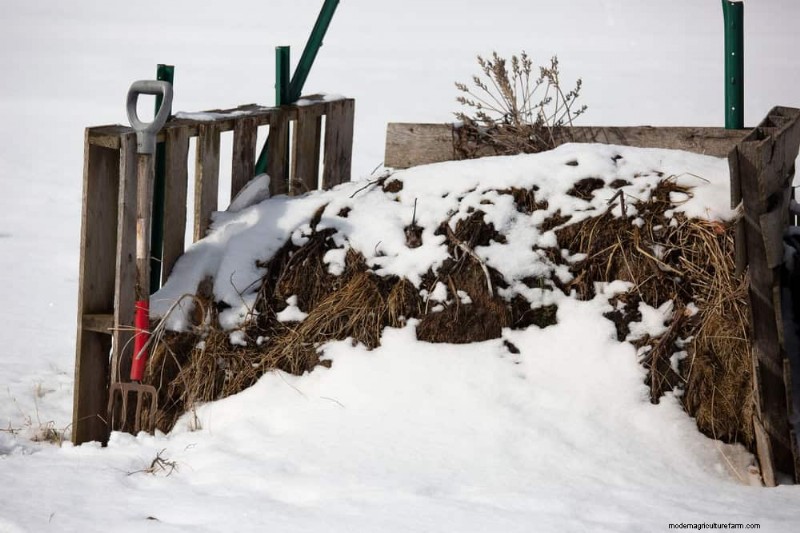 Winter Composting: 6 Expert Tips for Soil Enrichment