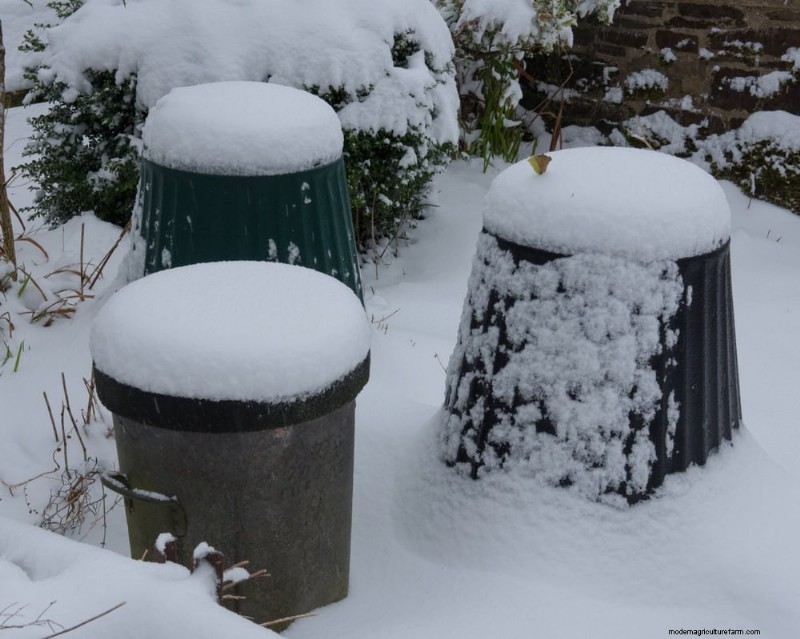 Winter Composting: 6 Expert Tips for Soil Enrichment