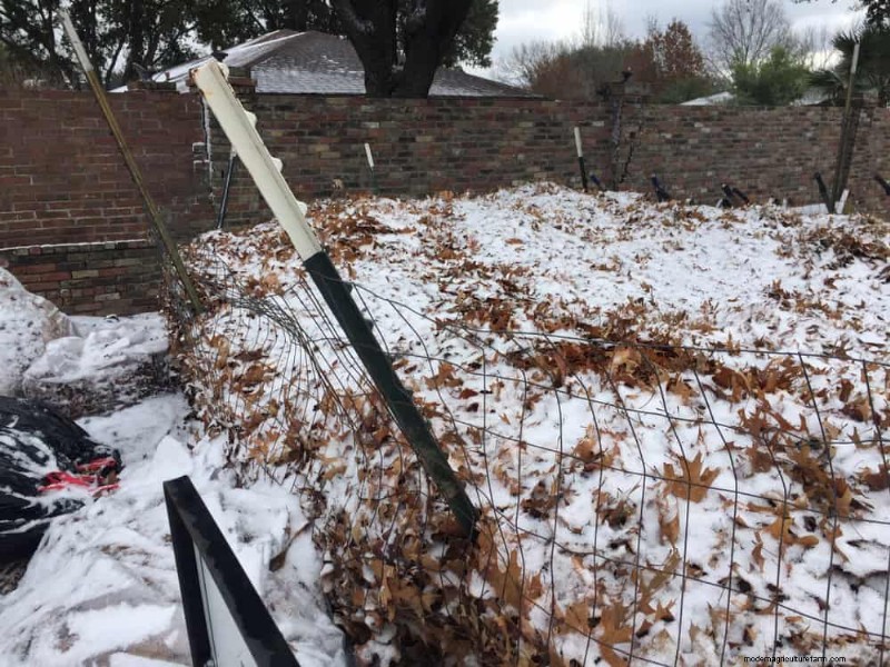 Winter Composting: 6 Expert Tips for Soil Enrichment