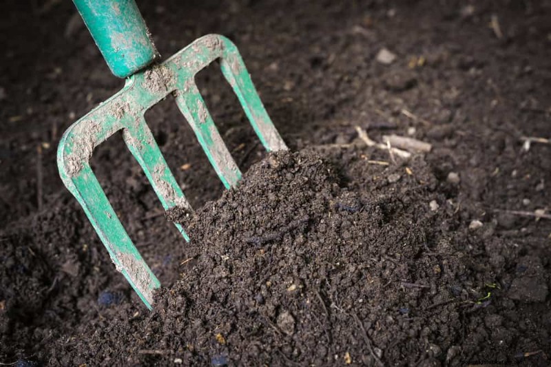 Winter Composting: 6 Expert Tips for Soil Enrichment
