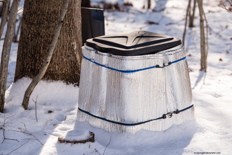 Winter Composting: 6 Expert Tips for Soil Enrichment