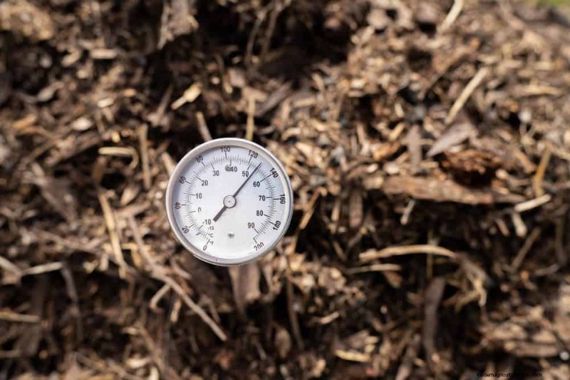Winter Composting: 6 Expert Tips for Soil Enrichment