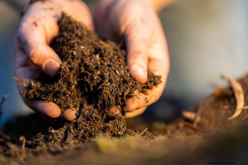 Winter Composting: 6 Expert Tips for Soil Enrichment