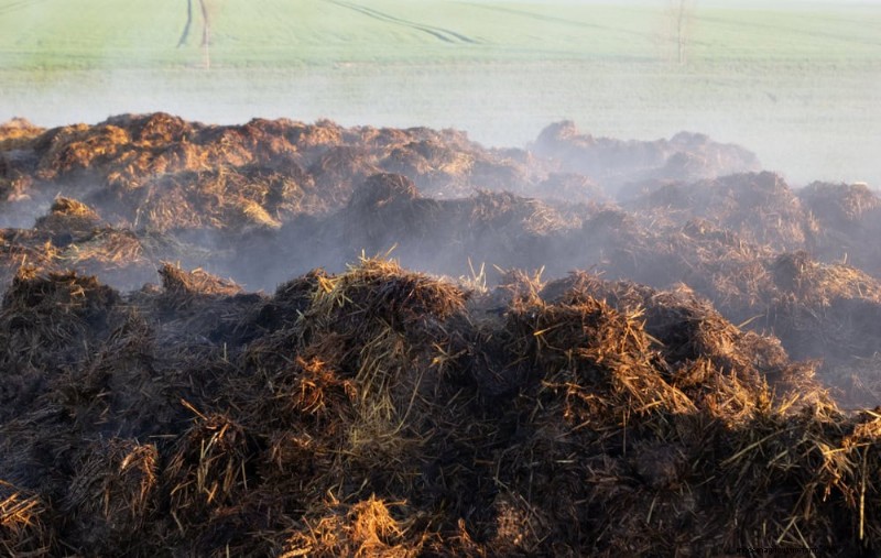 Winter Composting: 6 Expert Tips for Soil Enrichment