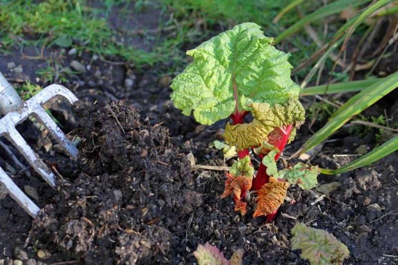 Winter Composting: 6 Expert Tips for Soil Enrichment