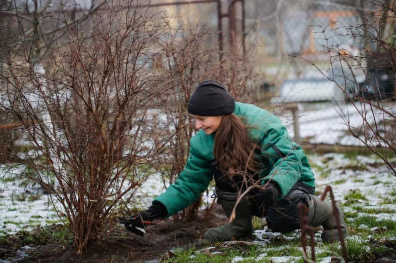 Unlock Winter Gardening: 7 Unexpected Benefits for Health & Harvest
