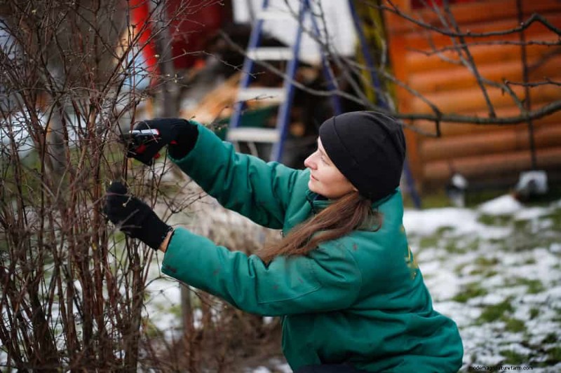 Unlock Winter Gardening: 7 Unexpected Benefits for Health & Harvest