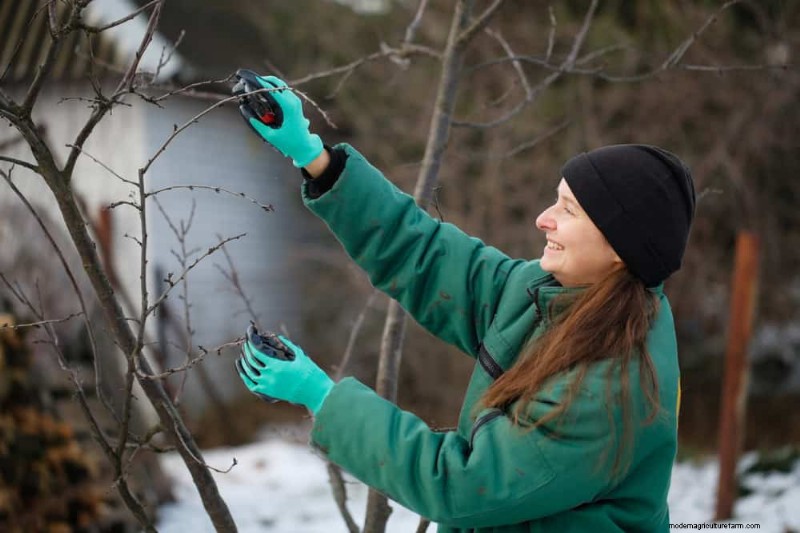 Unlock Winter Gardening: 7 Unexpected Benefits for Health & Harvest