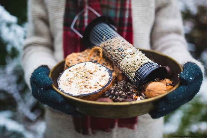 Unlock Winter Gardening: 7 Unexpected Benefits for Health & Harvest