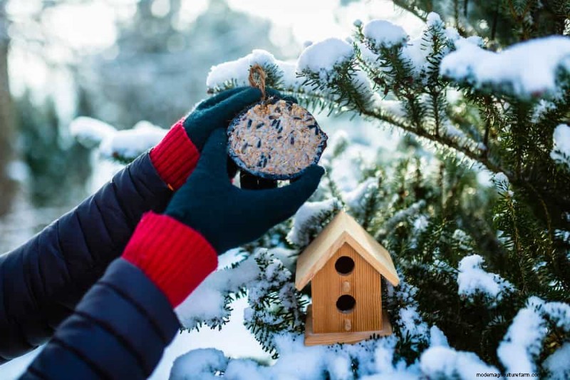 Unlock Winter Gardening: 7 Unexpected Benefits for Health & Harvest