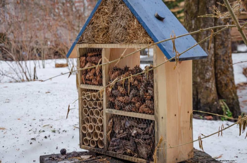Unlock Winter Gardening: 7 Unexpected Benefits for Health & Harvest