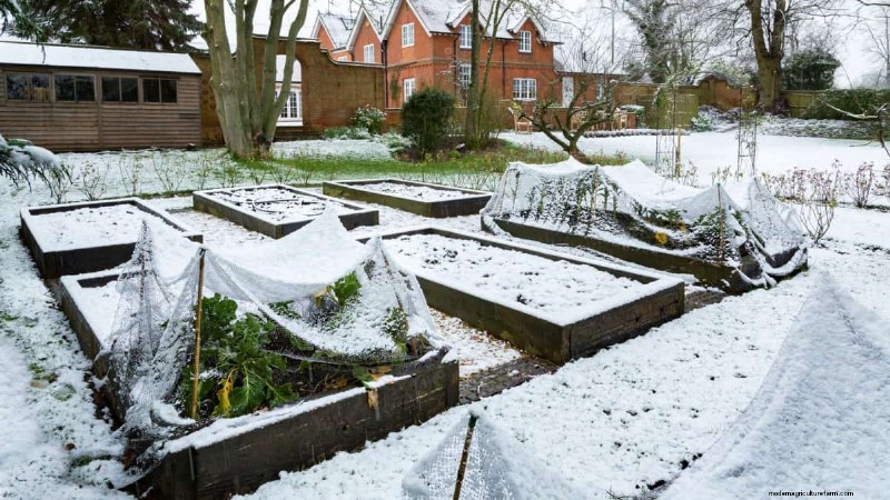 Unlock Winter Gardening: 7 Unexpected Benefits for Health & Harvest