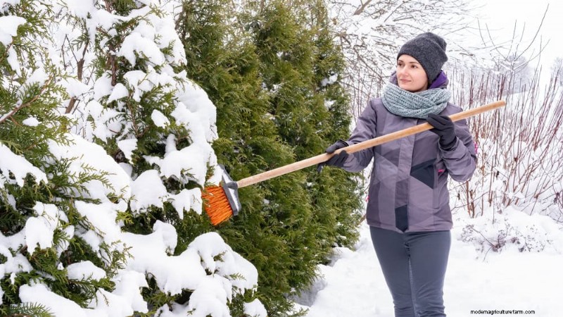 Unlock Winter Gardening: 7 Unexpected Benefits for Health & Harvest