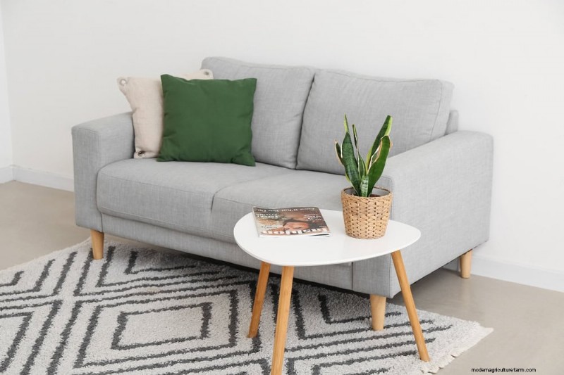 Snake Plants: 8 Reasons They re the Easiest Houseplants to Grow