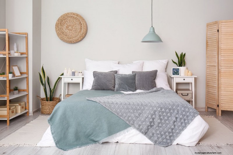 Snake Plants: 8 Reasons They re the Easiest Houseplants to Grow