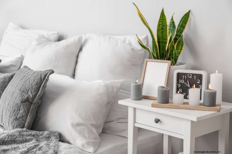 Snake Plant Benefits for Bedrooms: Improve Air Quality & Sleep