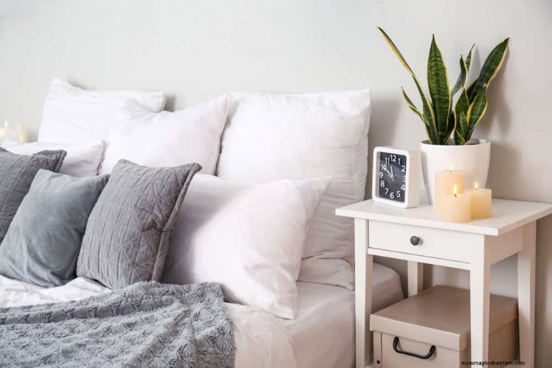 Snake Plant Benefits for Bedrooms: Improve Air Quality & Sleep