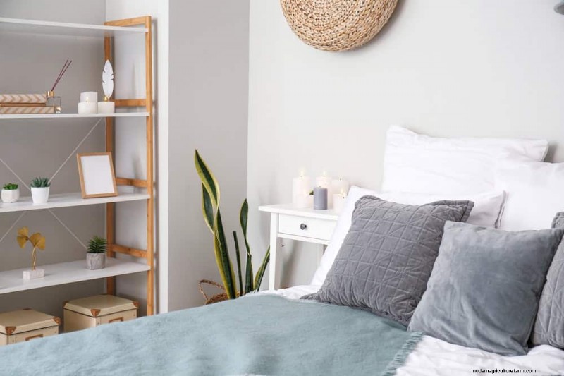 Snake Plant Benefits for Bedrooms: Improve Air Quality & Sleep