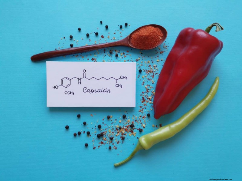 Protect Your Bulbs: The Science-Backed Way to Deter Squirrels with Cayenne Pepper