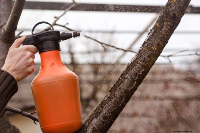 Protect Your Bulbs: The Science-Backed Way to Deter Squirrels with Cayenne Pepper