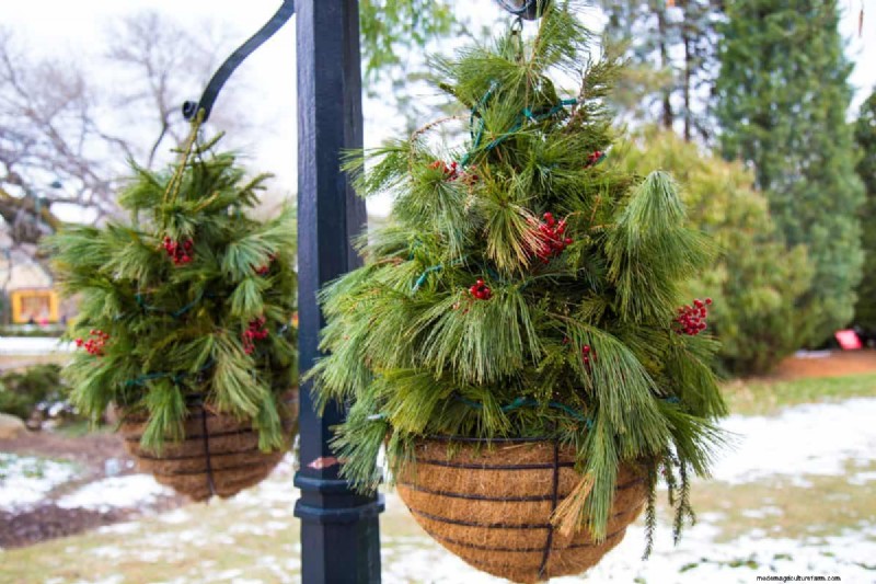 Winterize Fall Planters: Expert Tips for Stunning Seasonal Displays