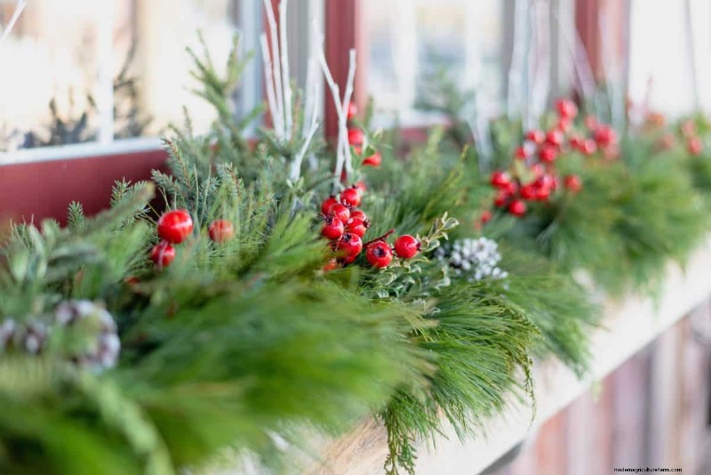 Winterize Fall Planters: Expert Tips for Stunning Seasonal Displays