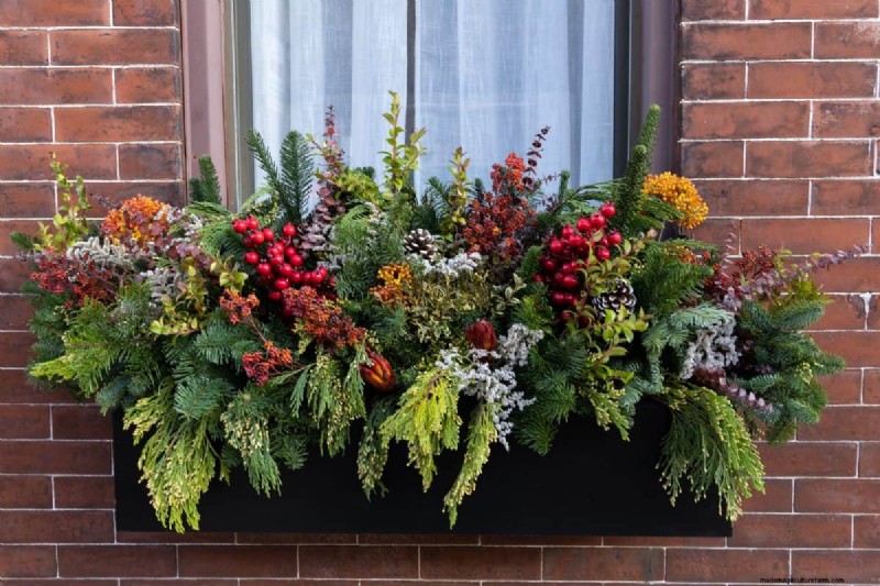 Winterize Fall Planters: Expert Tips for Stunning Seasonal Displays